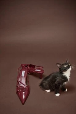 LIANA WINE PATENT -Steve Madden Store SM 2024 MARCH KITTEN HEELS 07 LIANA 0363 CROPPED