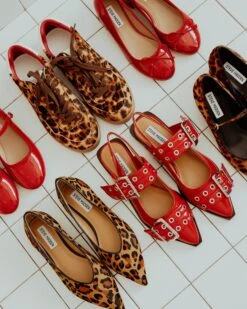 GRAYA RED PATENT 15 GRAYA RED PATENT -Steve Madden Store SM 2024 MARCH SOCIAL LOSANGELES 01 ANIMALPRINTGROUPING 01 e913f577 0c91 410d 8215 4b31fff5c478