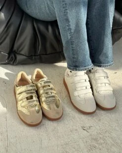 MOMENTUM GOLD -Steve Madden Store SM 2025 AUGUST SOCIAL MOMENTUM 01