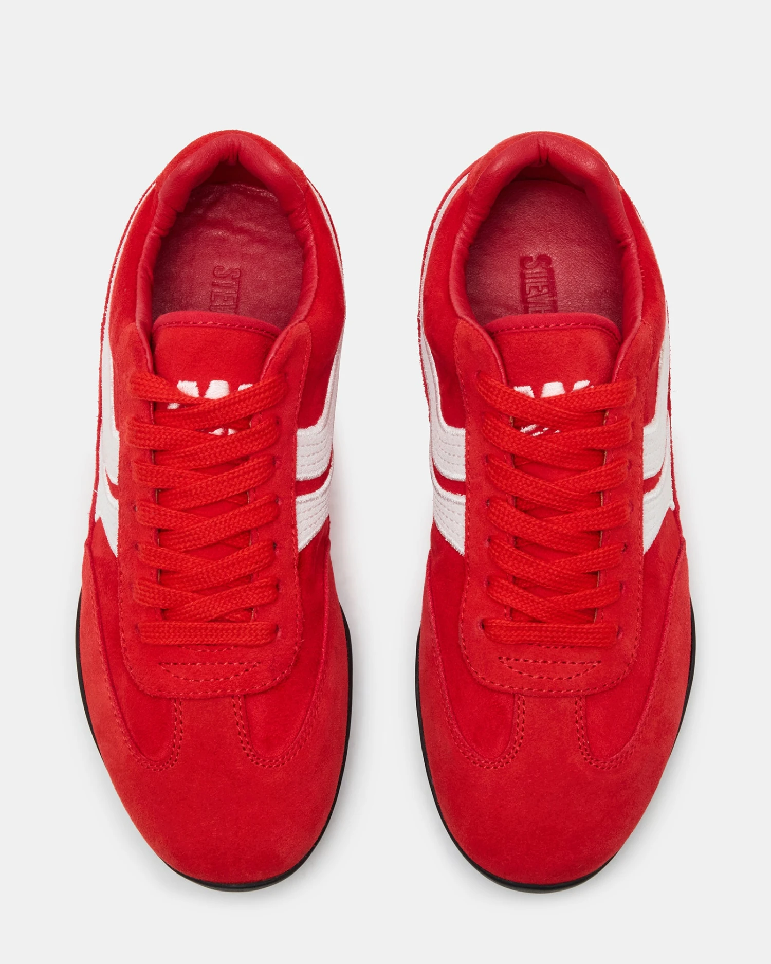 DOBSON RED 5 DOBSON RED - Image 5