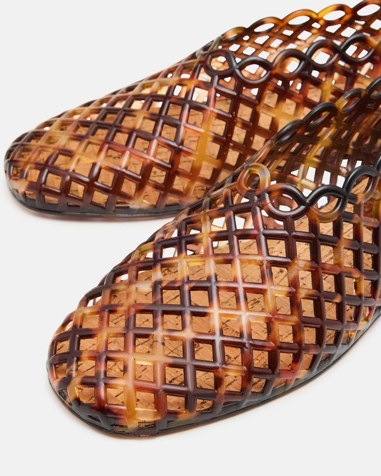 GROVE TORTOISE 4 GROVE TORTOISE - Image 4